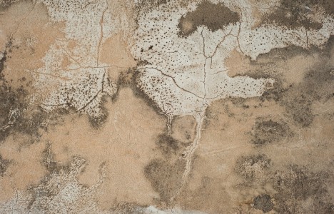 Network: Crossing Parallels invites Sujata Majumdar as new artist-in-residence