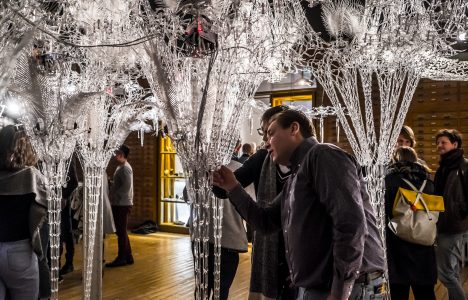 Program for festival exhibition 2019 complete!