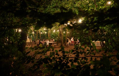 Network: SHAPE welcomes Terraforma Festival
