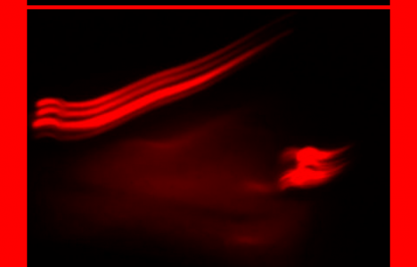 Network: SHAPE x XLR8R